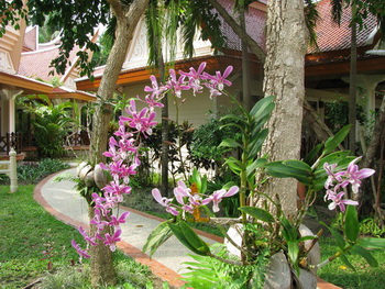 Thailand, Koh Chang, Panviman resort and Spa